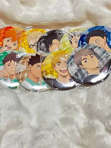 하이큐!! 카라파레빅 캔뱃지