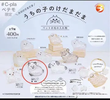 미개봉 새상품 우리 애의 털뭉치 한정판 블랙 시바견 캡슐 토이