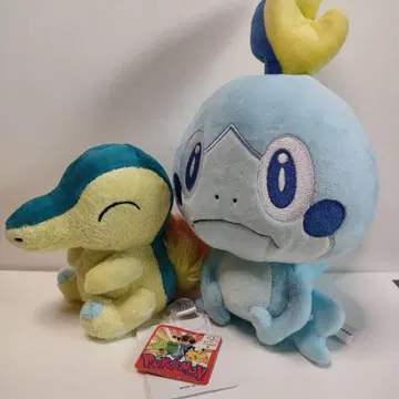 포켓몬 봉제 인형
