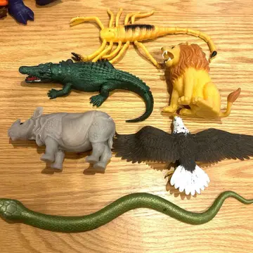 스트렛치즈 6체