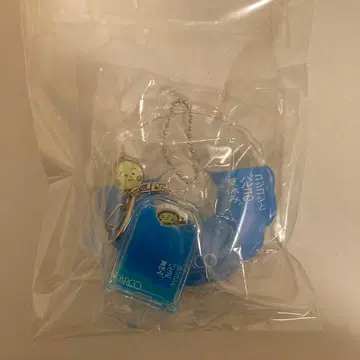 코지코지 파르코와 코지코지의 여름방학