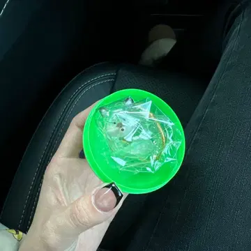 우리 아이 털뭉치 한정판 모듬 블랙 시바