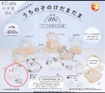 미개봉 새상품 우리 아이 털뭉치 한정판 모듬 치와와 (화이트)