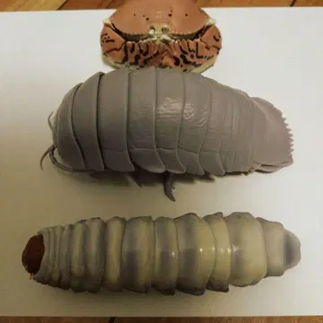 생물대도감 톱사슴벌레 유충 외 피규어 세트