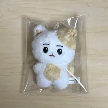 ENHYPEN 에나이픈 히승 봉제 인형 10cm 인형