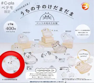 우리 집 털뭉치 치와와 (화이트)