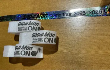 스노우맨 12/24 도쿄 돔 낙하물