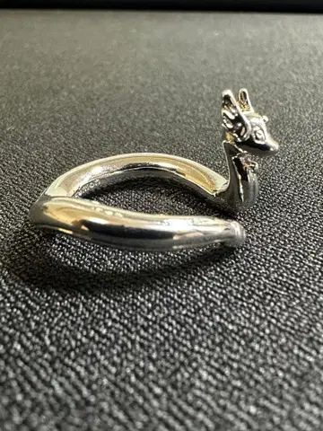 포켓몬 하쿠류 반지 13호 반지