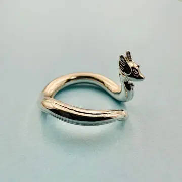 포켓몬 하쿠류 반지 13호 반지