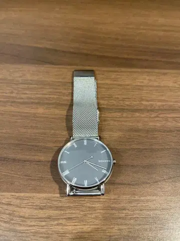 스카겐 SKAGEN SIGNATUR 3바늘 그레이 스틸 메쉬 워치