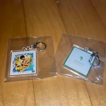 SKRYU 아크릴 키링 2개 세트