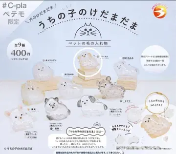 미개봉 새상품 우리 아이 털뭉치 푸들