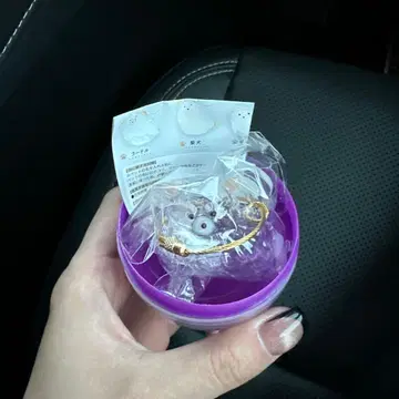 우리 아이 털뭉치 치와와 페테모 한정판