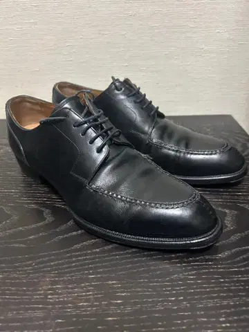 24.0cm SHETLANDFOX 셰틀랜드 폭스 U칩