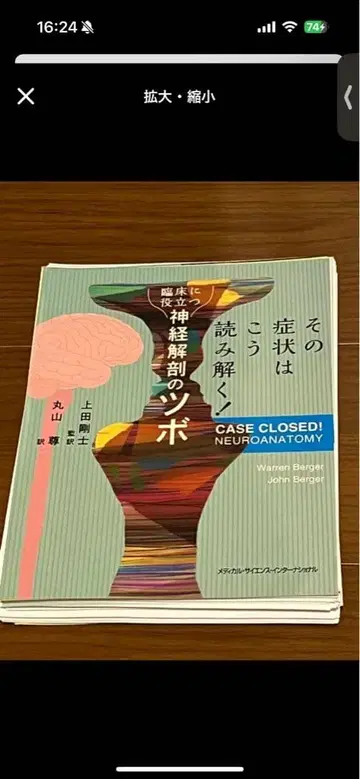 신경 해부학의 혈자리