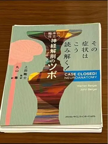 신경 해부학의 혈자리