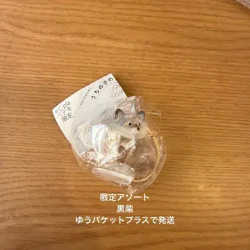 우리 아이 케다마담 한정판 모듬 블랙 시바