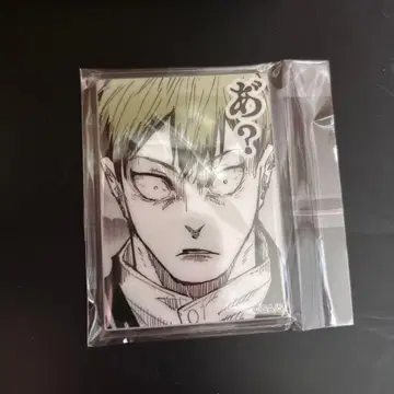 젠인 나오야 마그넷