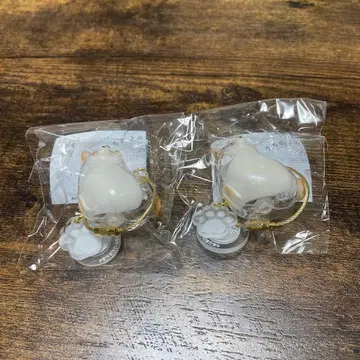 우리 아이 털뭉치 시바견 2개 세트