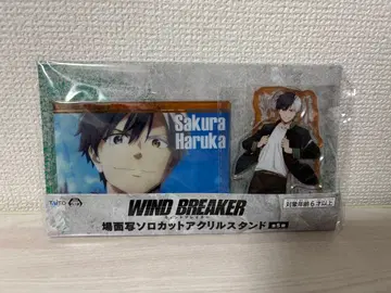 윈블 장면 사진 솔로컷 아크릴 스탠드 사쿠라 하루카