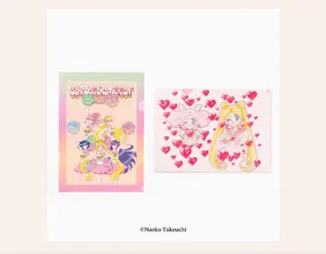 세일러문 팬클럽 한정판 2025 클리어 파일