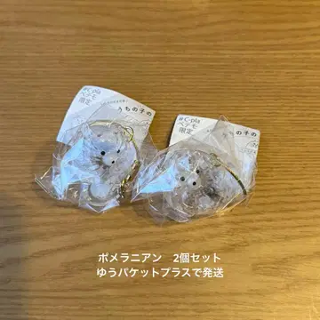 우리 아이 털뭉치 포메라니안