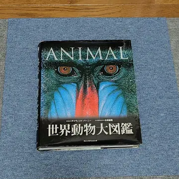 세계 동물 대도감 ANIMAL 고양이 퍼블리싱