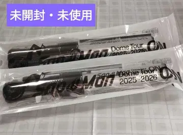 SnowMan Dome Tour ON 응원봉 2개