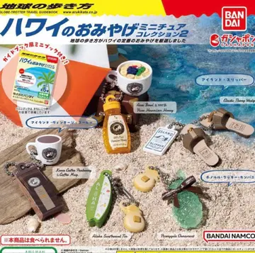 지구의 산책법 하와이 기념품 미니어처 컬렉션 2종 총 5개 컴플리트