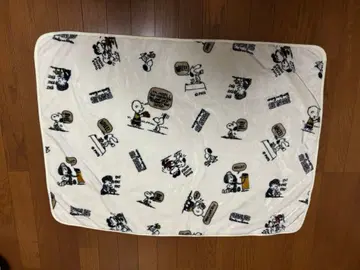 PEANUTS 담요