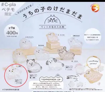 미개봉 새상품 우리 아이 털뭉치 한정판 모듬 치와와 (화이트)