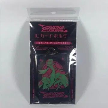 포켓몬 IC 카드 홀더 랄토스 킬리아 차곡차곡