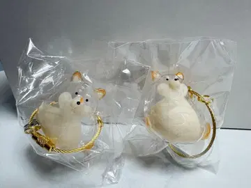 우리 아이 털뭉치 시바견 2마리