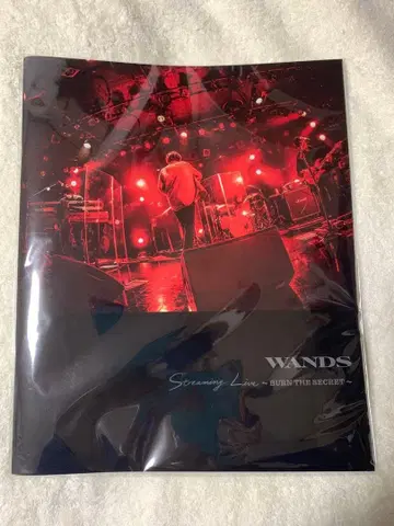 WANDS BURN THE SECRET 팜플렛