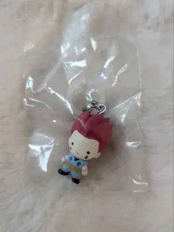 HUNTER x HUNTER 히소카 메지루시 참