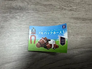 서러브레드 컬렉션 풀백 호스 3 다이와 스칼렛 보드카