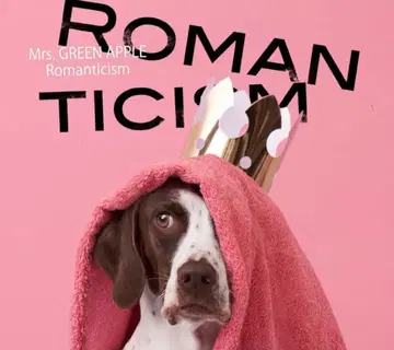 Mrs. GREEN APPLE 로맨티시즘 초회 한정판 CD+DVD