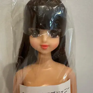 인형 교실 러브 제니