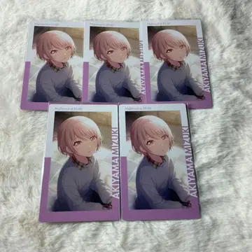 프로세카 아키야마 미즈키 에피카 파자마