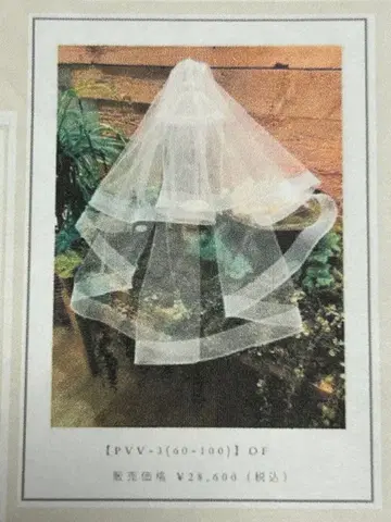 와타베 웨딩 PVV-3 (60-100) 웨딩 베일