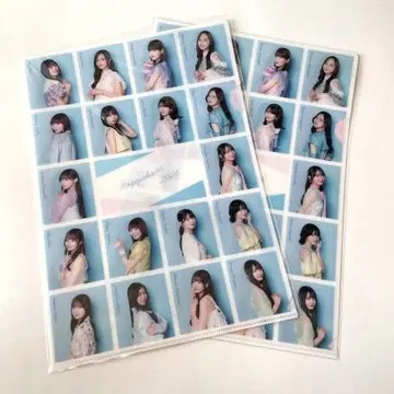 노기자카46 벽걸이 달력 2026년 혜택 클리어 파일 2개 세트