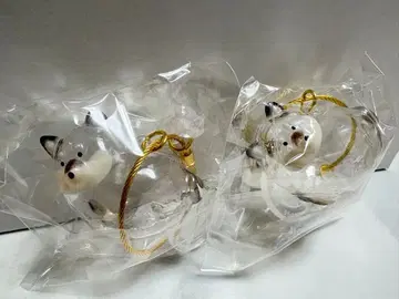 우리 아이 털뭉치 강아지 블랙 시바 2세트