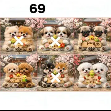 접수 69