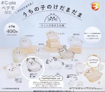 우리 아이 털뭉치 한정판 모듬 블랙 시바