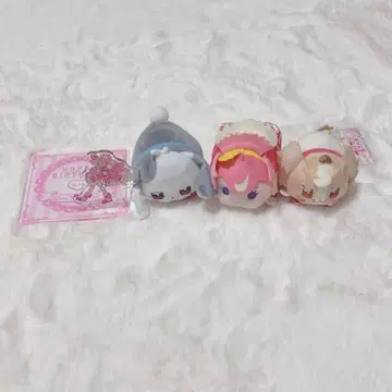 원더풀 프리큐어! 큐어 원더풀 이누카이 코무기 다이후쿠