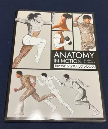 애나토미 인 모션: 움직임의 비주얼 레퍼런스