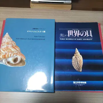 아름다운 세계의 조개, 오키나에비스류