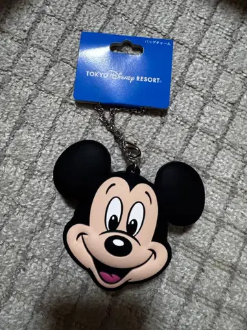 택 포함 새상품 디즈니 리조트 실리콘 케이스