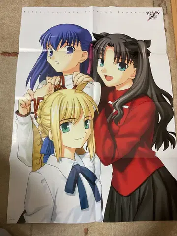 Fate/stay night 포스터 세트