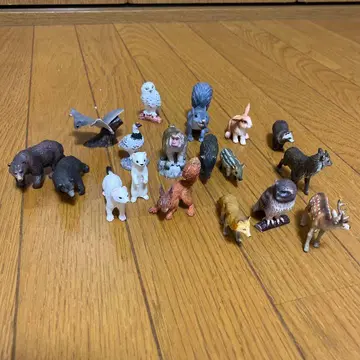 동물 피규어 세트 18개